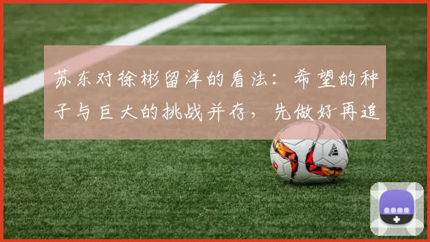 苏东对徐彬留洋的看法：希望的种子与巨大的挑战并存，先做好再追求完美